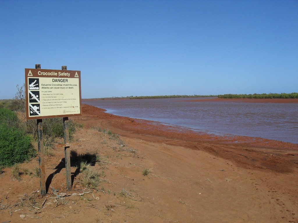 SDC12322.JPG