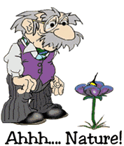 oldie00010.gif oldie00010.gif