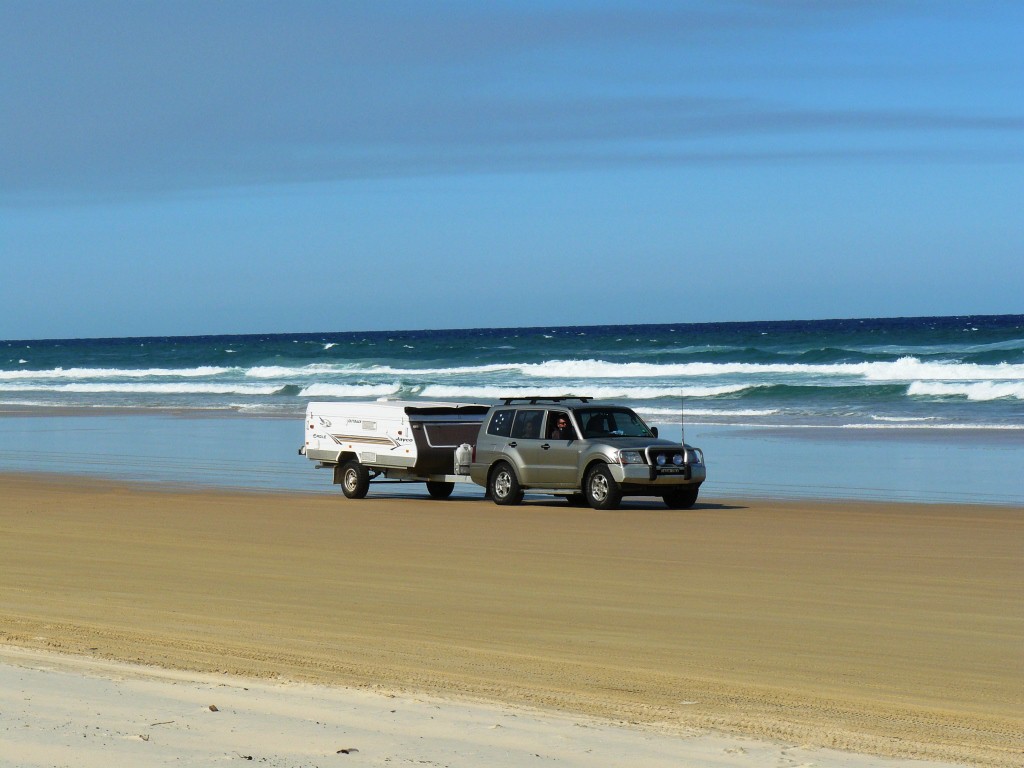 09-10-08pm1 006E.jpg