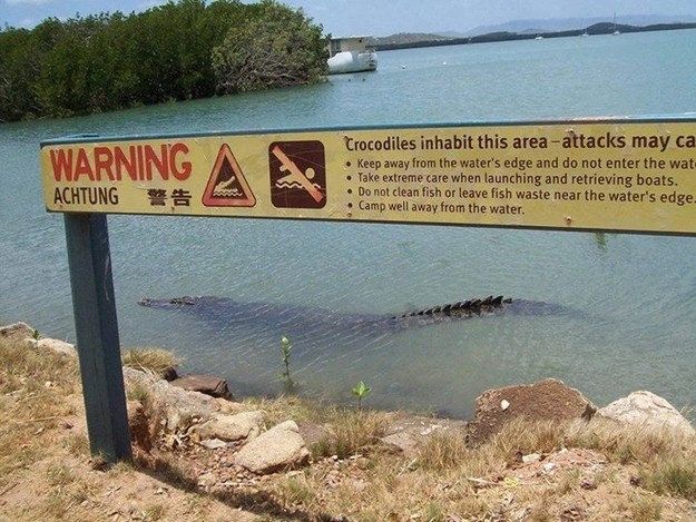 croc warning.jpg