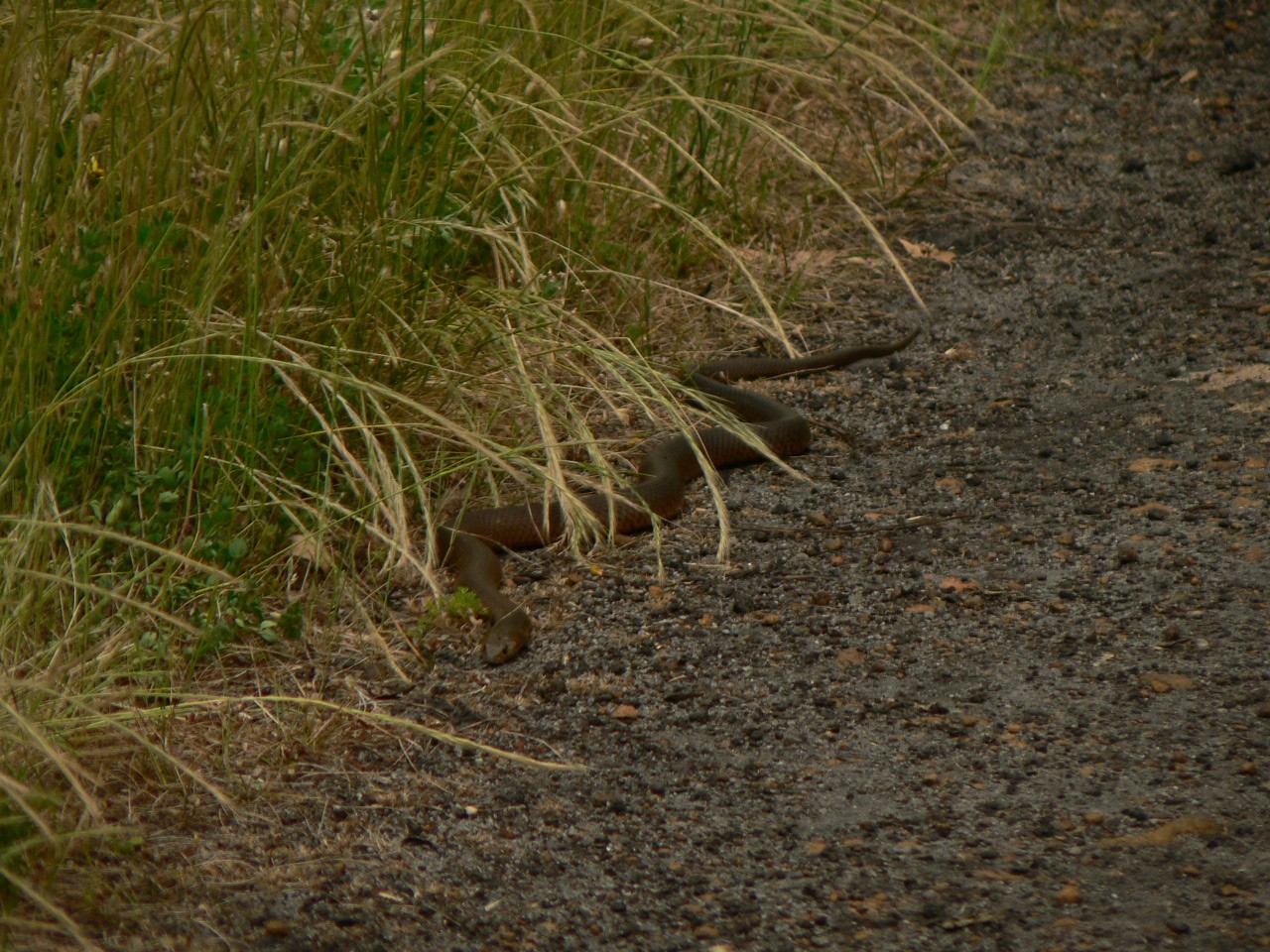 OUR TRIP 2009 226.jpg