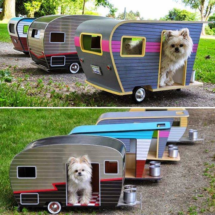 doggie vans.jpg