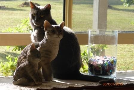 P1040126 Resized.jpg