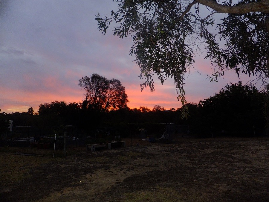 2014-02-04 05.08.20.jpg