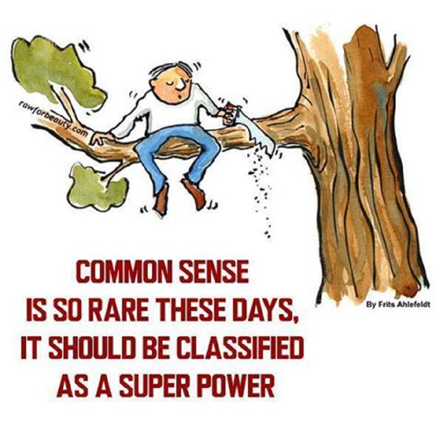 common sense.jpg