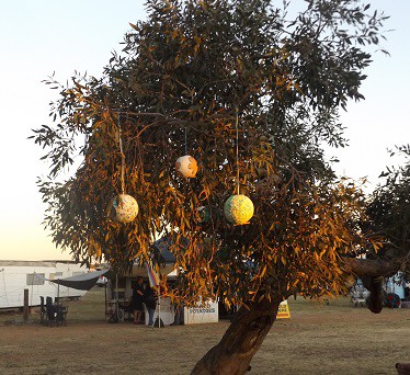 Mooring tree.JPG
