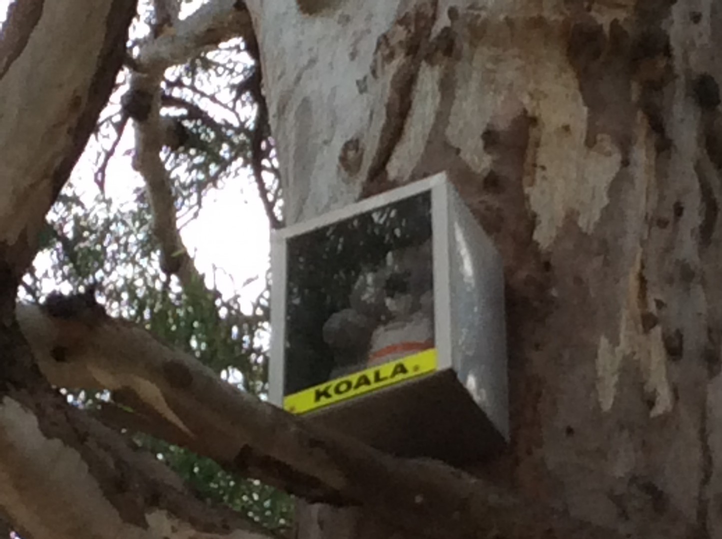 2017-01-08 07.40.35.jpg