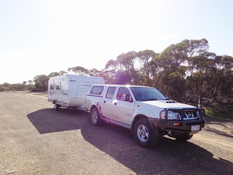 Mallee Judy Small 3 006 (800x600).jpg