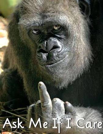 Aint this the truth.jpg