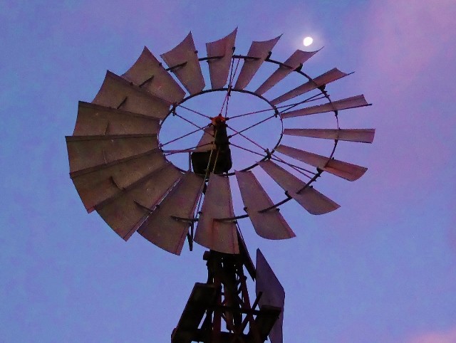 Favorite Spot (800x602) (640x482).jpg