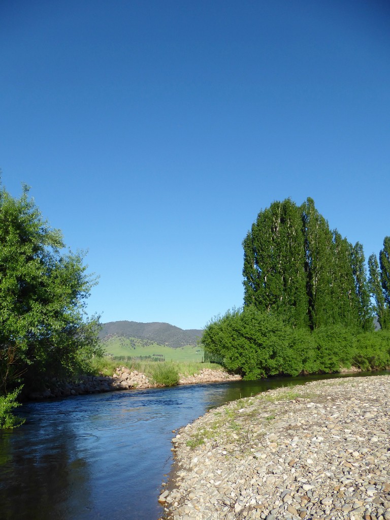 Murray River Indi Reserve (768x1024).jpg