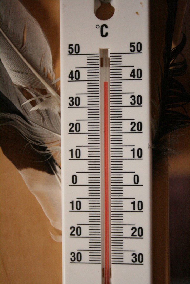 Van Temp 06-01-18 c.jpg