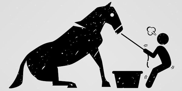 Lead a horse to water.jpg