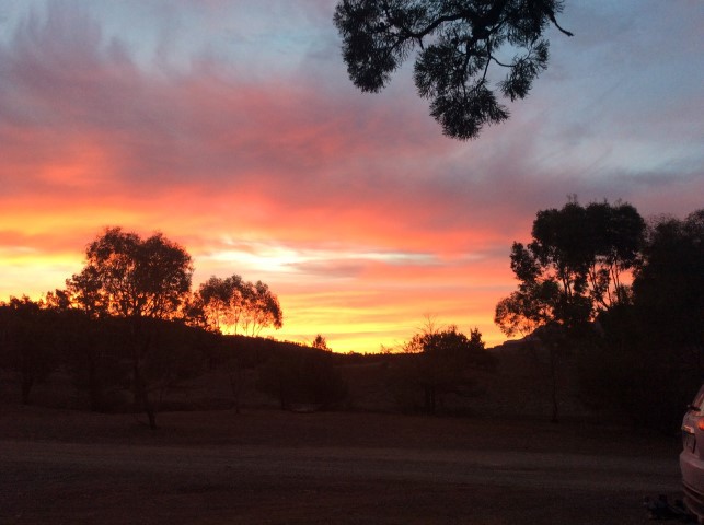 Flinders Ranges Sunset).JPG