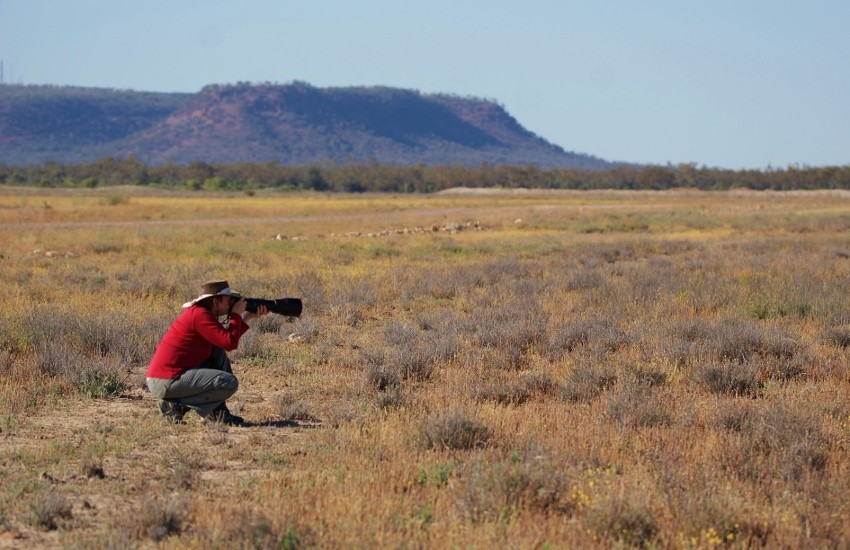 Judy tacking Pratincoles (850x550).jpg