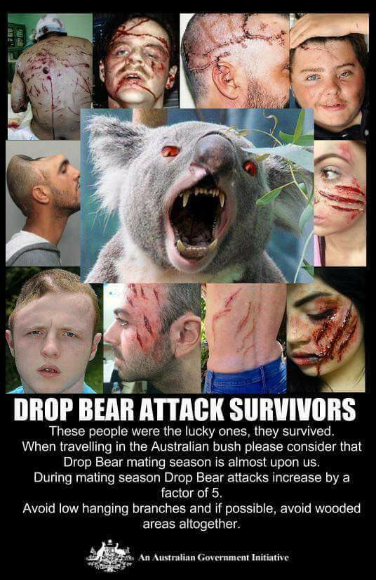 Drop Bear Victims.png