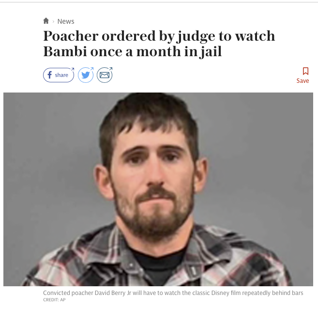 Screen Shot 2018-12-18 at 11.23.44 am.png