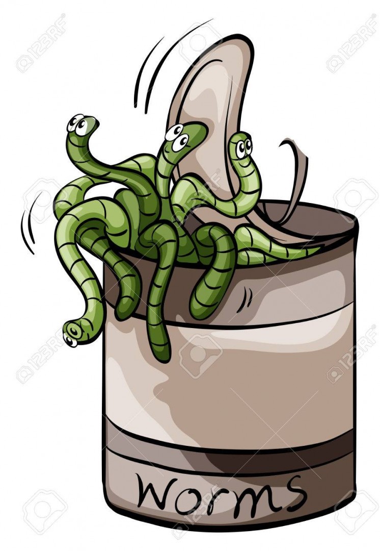 Can of worms.jpg