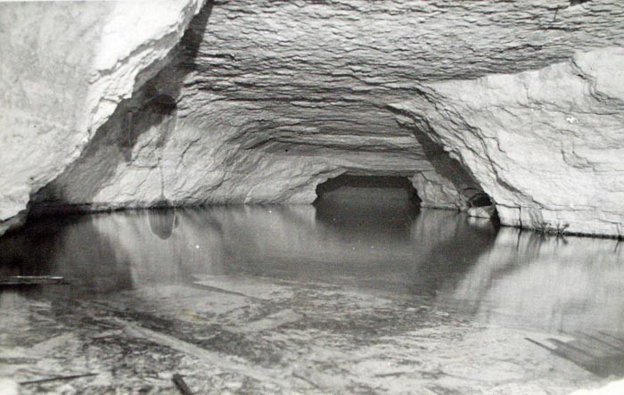 1954 Nullarbor - Weebubbie Cave 2E.jpg