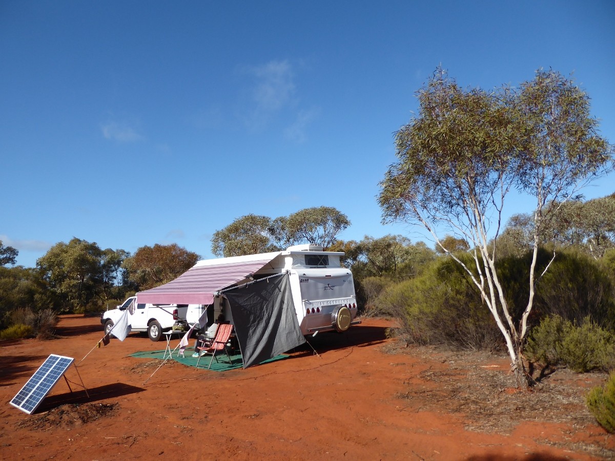 nombin (1200x900).jpg