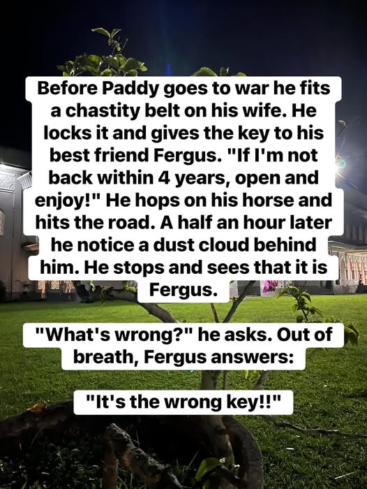 Paddy.jpg